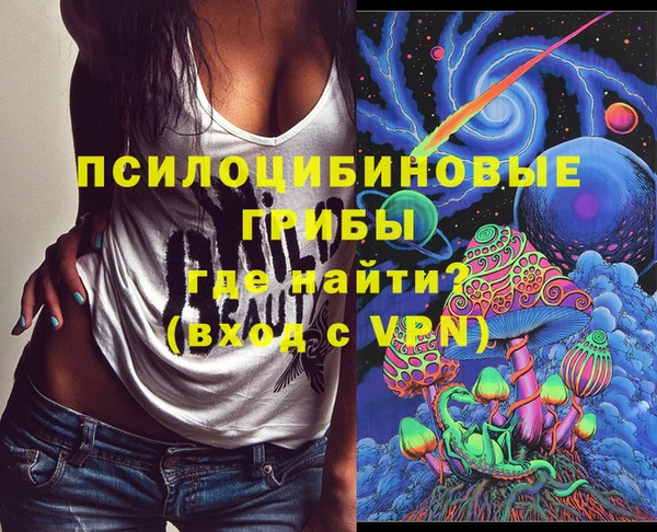 амф Богданович