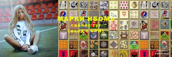 амф Богданович