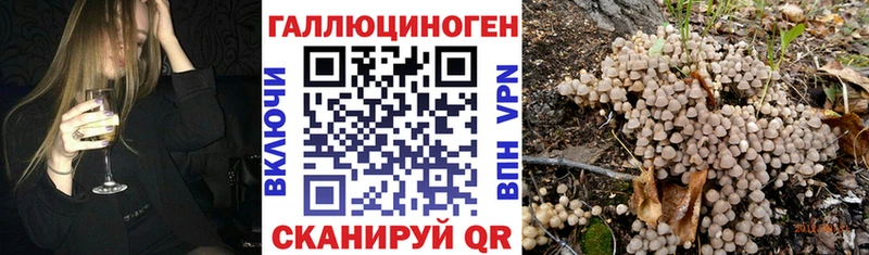 даркнет сайт  Верхняя Тура  Псилоцибиновые грибы мухоморы 